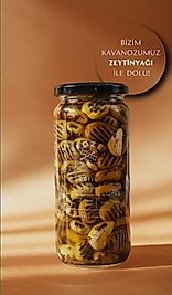 Foze Grill ( Izgara ) Yeşil Zeytin 450 gr