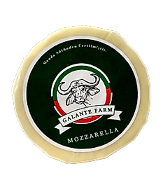 Manda Mozzeralla Peyniri 400GR